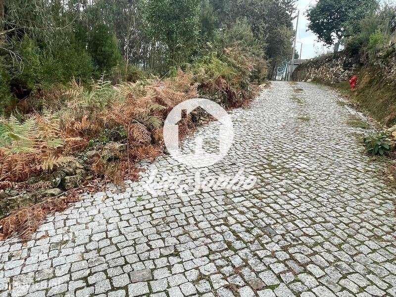 Terreno Agrícola com 4.600m2 em Guidões, Trofa - Grande imagem: 4/13