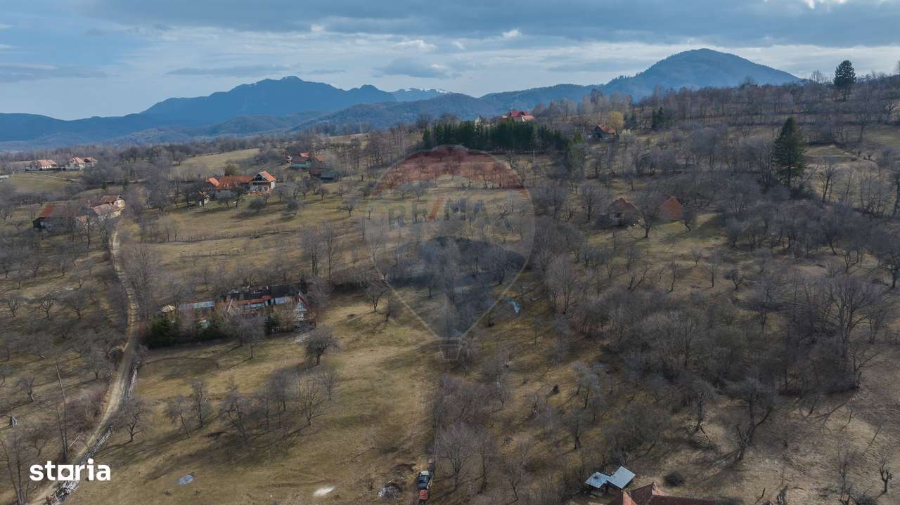 Teren 1,614mp Sohodol / Strada Înv. Ioan Pușcariu - Imagine principală: 4/12