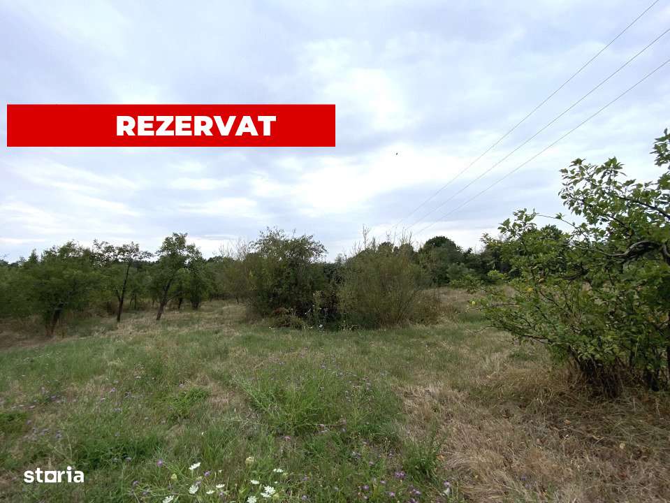 Teren intravilan 1.765 mp in Poiana Lacului, AG - Imagine principală: 1/5