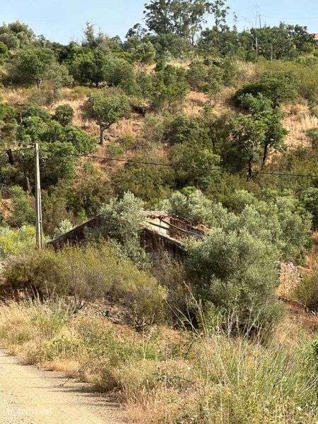 Ruina a 300m da Barragem do Arade - Grande imagem: 5/7