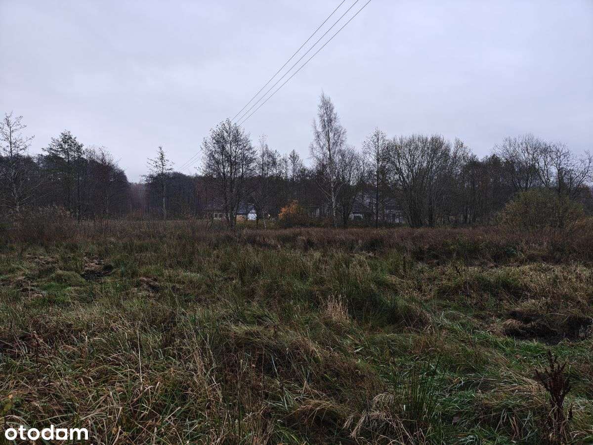 Słoneczna działka budowlana w Sasinie Jarzębinowa-6