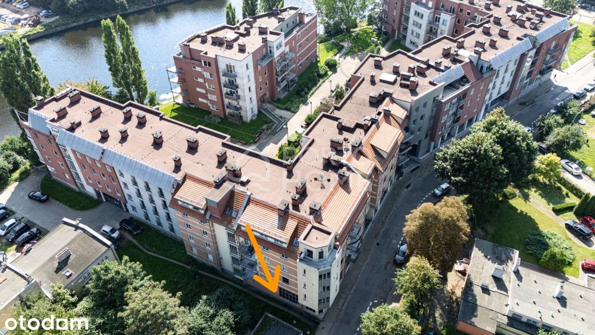 Lokal handlowo-usługowy I Stały Najemca I Gdańsk-6