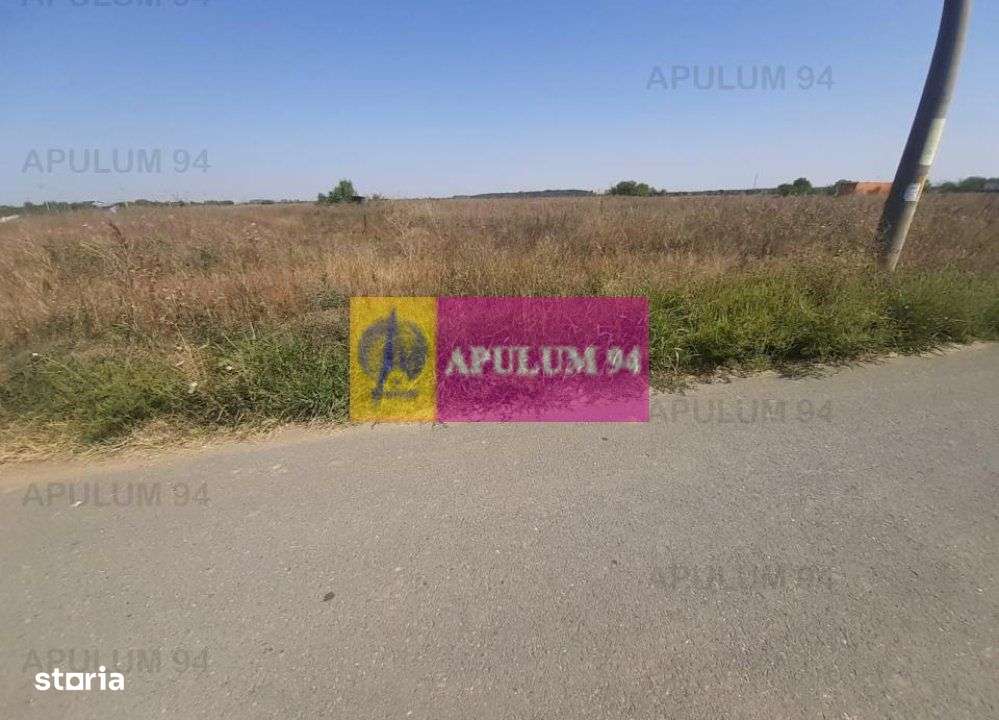 Teren pentru case in 1 Decembrie - Imagine principală: 2/20