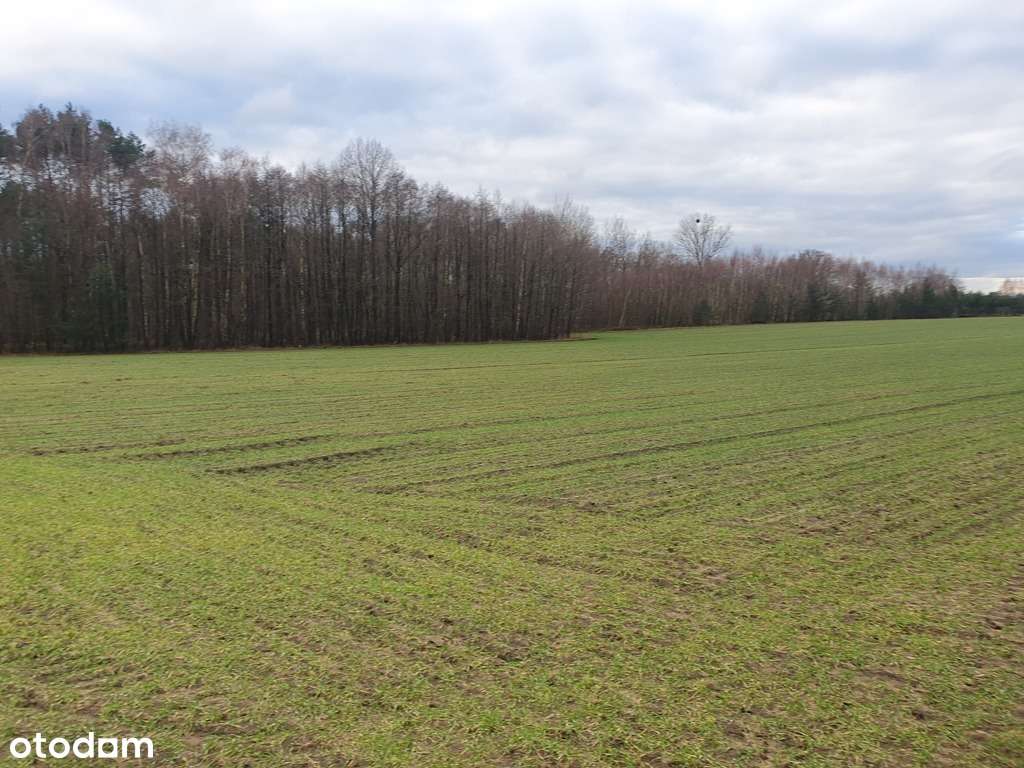 Działka Budowlana- Plan Zagospodarowania -Ciężków-7