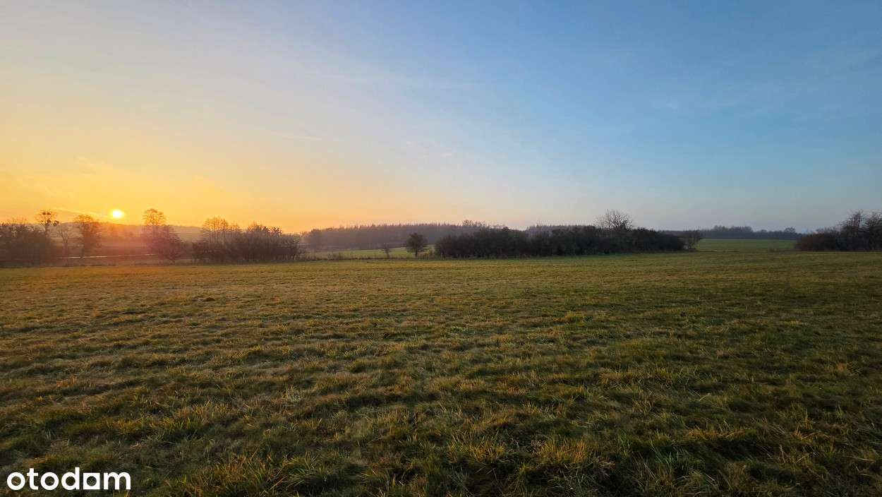 Na sprzedaż działka w miejscowości Młynary-9