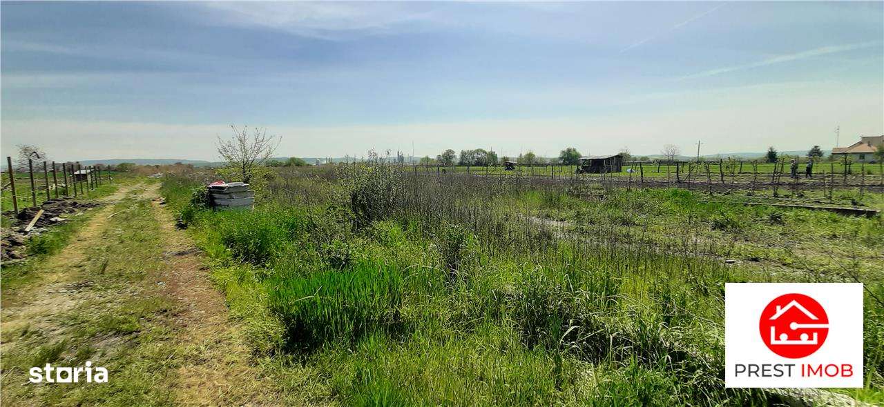 Teren de vanzare 41 arii, Nazna ,intravilan cu toate utilitatile - Imagine principală: 2/3