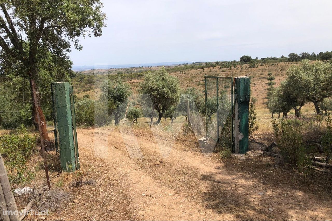 Herdade em Rosmaninhal, Idanha-a-Nova com 146 hectares, cultivo de sob