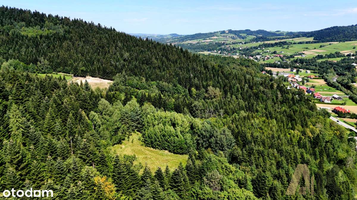 Działka rolna  Kąclowa - Pełny obrazek: 4/13