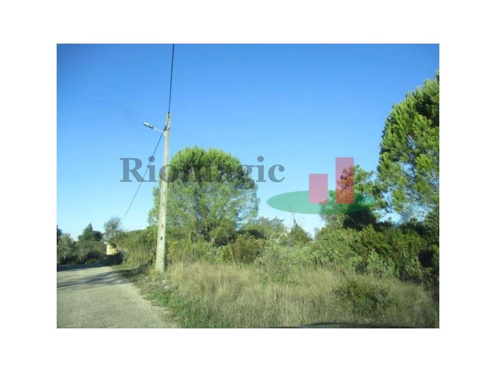 Terreno Urbano em Tomar ****RIOMAGIC**** - Grande imagem: 3/12
