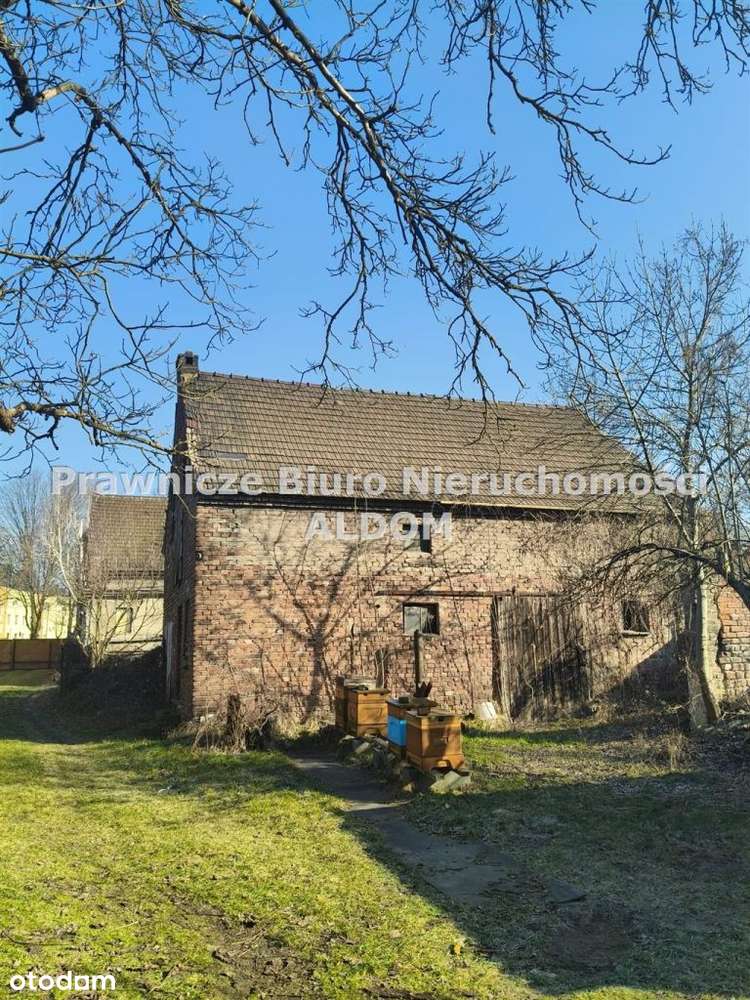 Dom wolnostojący Ozimek - Pełny obrazek: 4/10