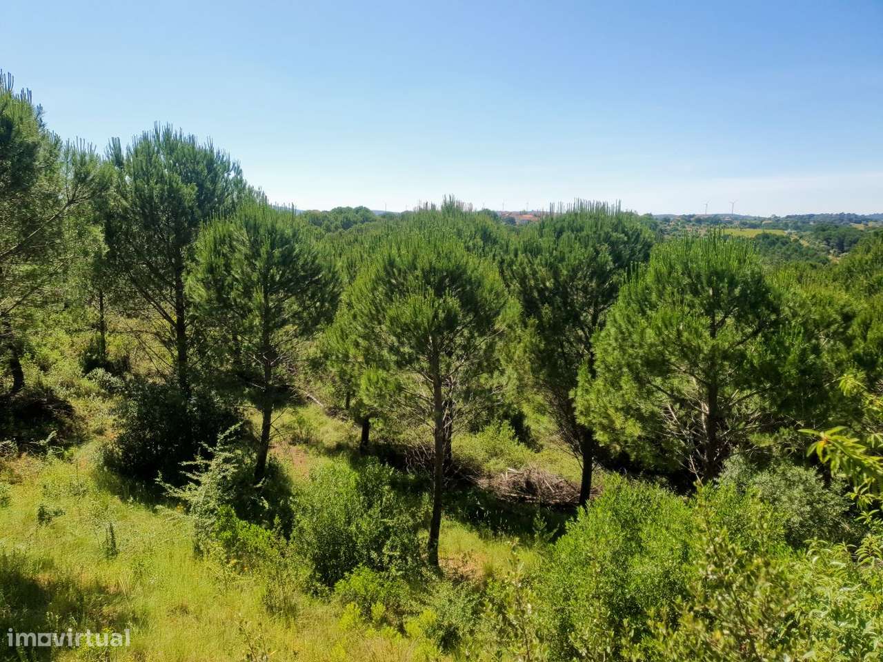 Terreno 10 hectares para Loteamento de 22 Moradias - Grande imagem: 4/15