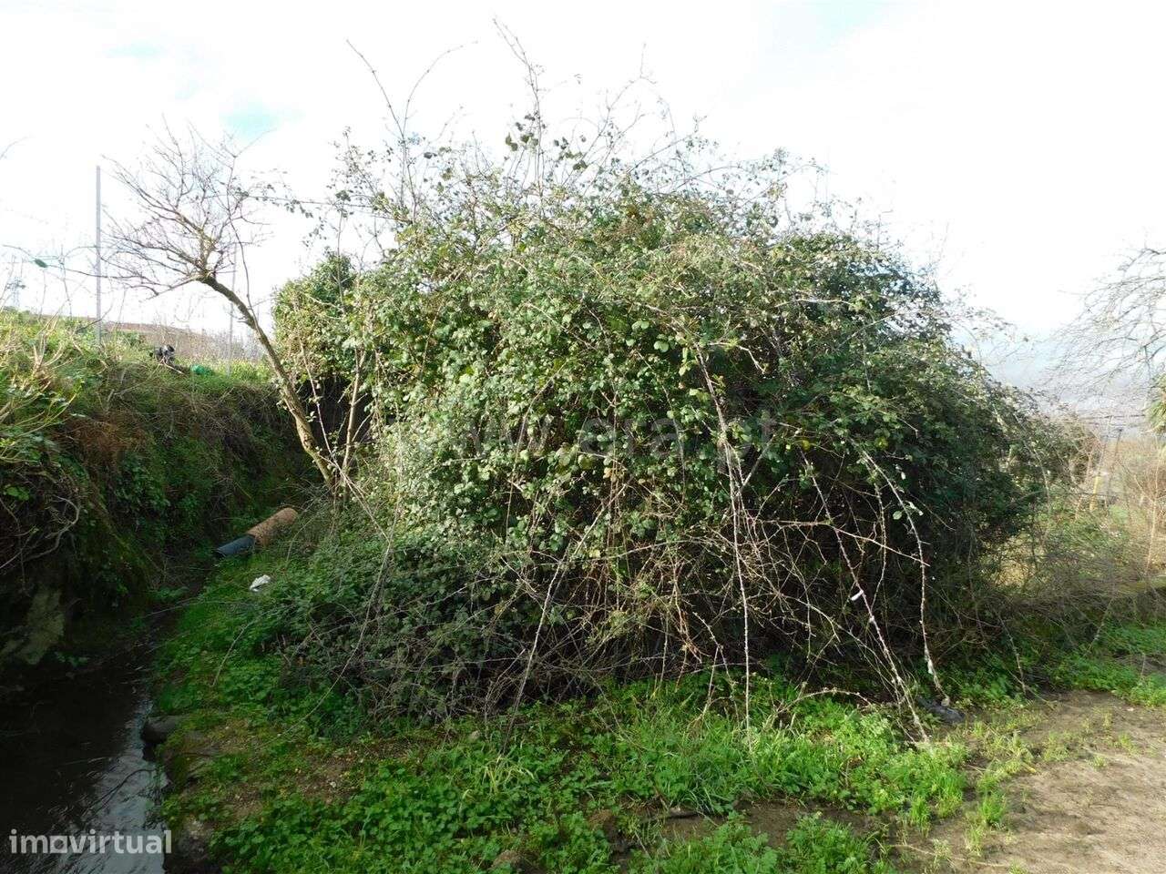 Terreno / Gouveia, Gouveia - Grande imagem: 5/16