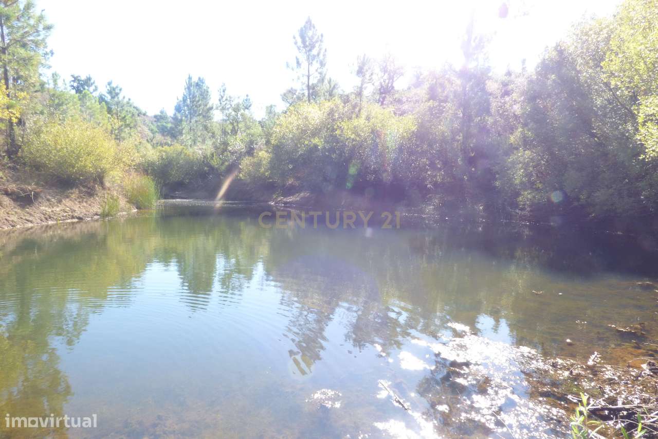 Herdade no Algarve, excelente  para turismo rural, ou Habitação. Tem 1 - Grande imagem: 4/36