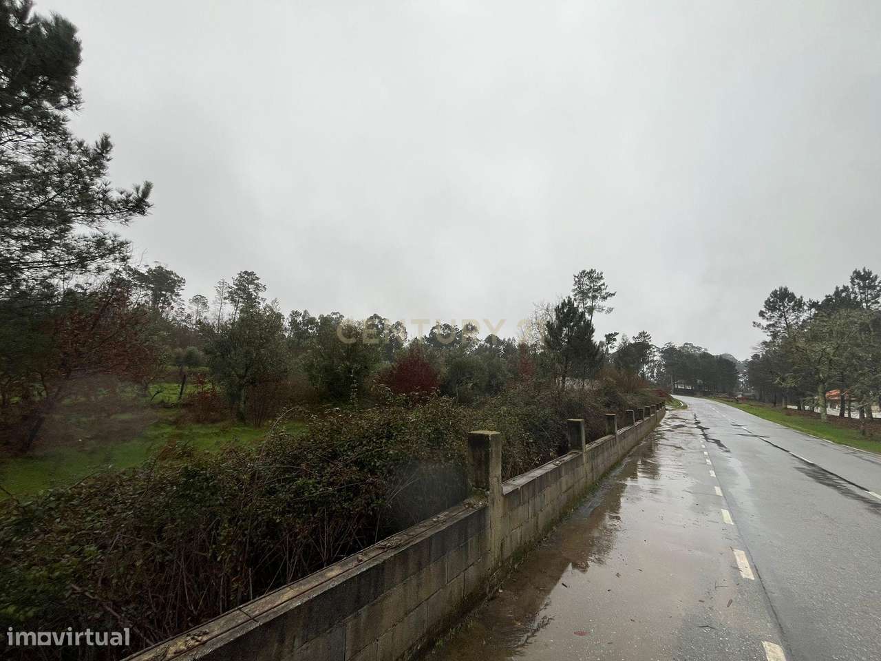 Terreno rústico para venda próximo de Viseu - Grande imagem: 2/4