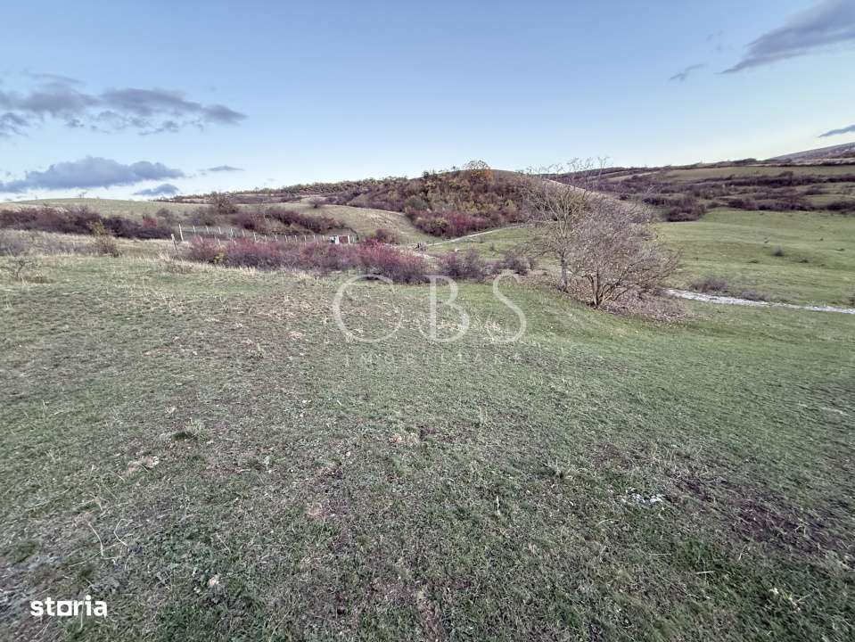 Teren Intravilan cu panorama in Borhanci Str Colonia Sopor 1000mp+85mp - Imagine principală: 5/7