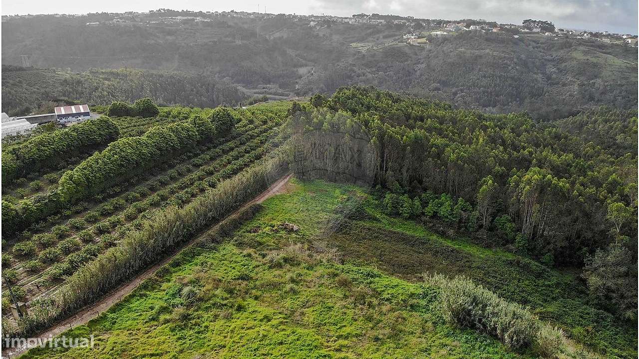 Quinta T4 para venda - Grande imagem: 5/35