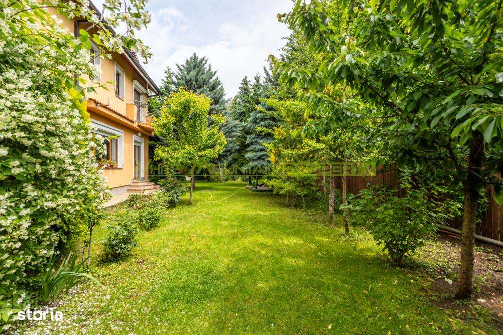 Vila oportunitate, 6 camere, teren 1.000 mp, de vanzare, Snagov-2