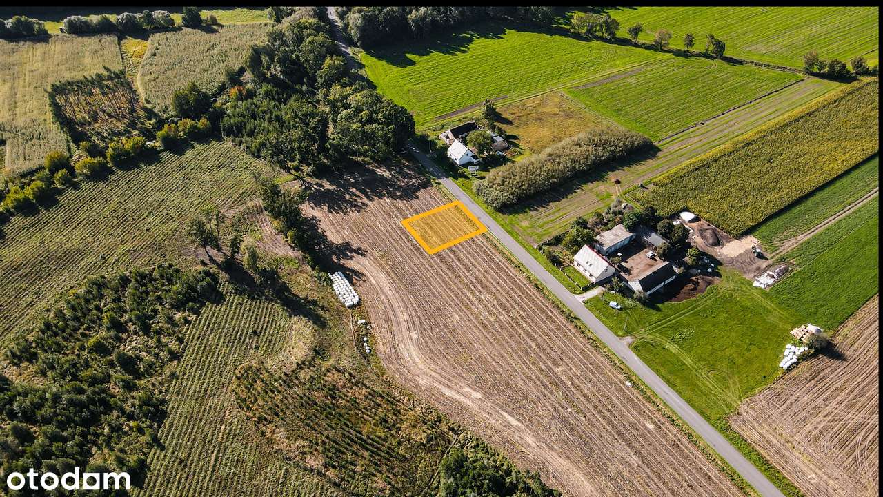 Nowy Folwark, gm. Września, pow. wrzesiński, woj. wielkopolskie-18