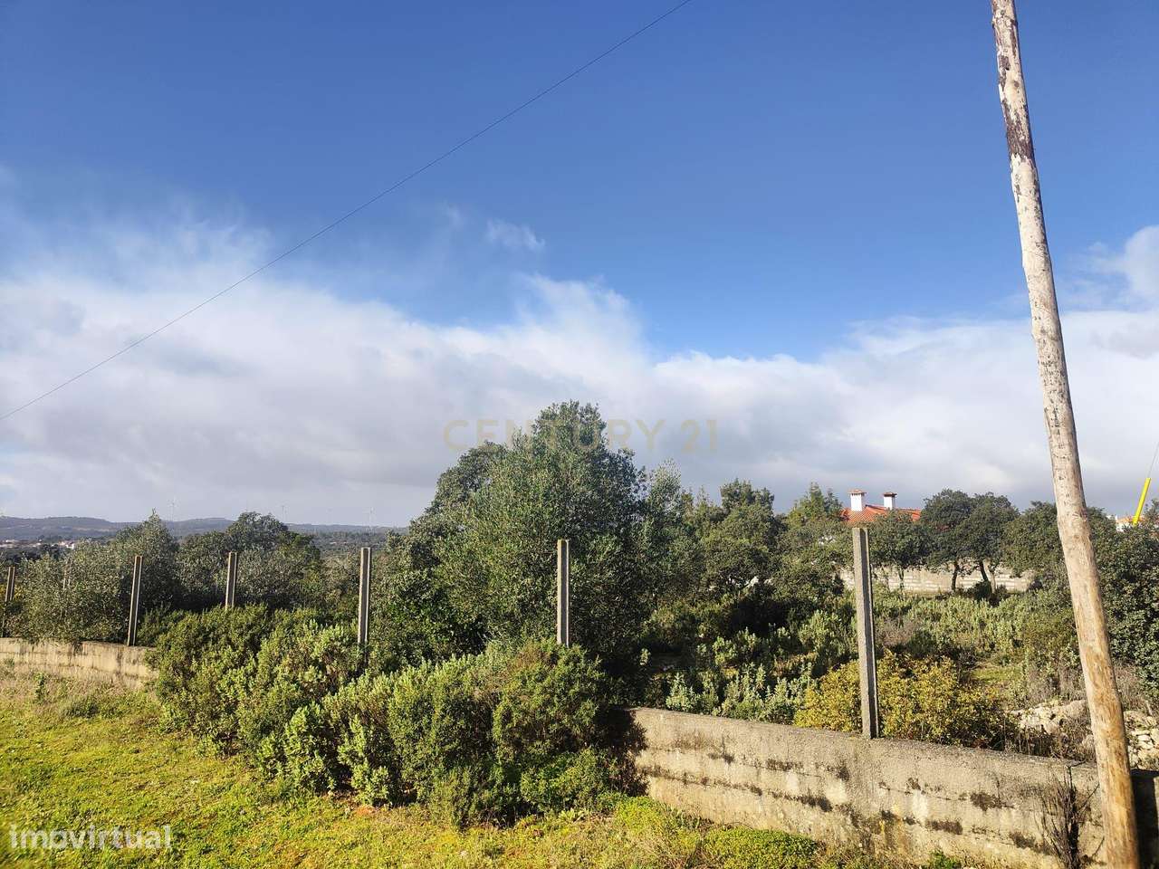 Terreno à Venda na Ortiga, Fátima - Grande imagem: 4/17