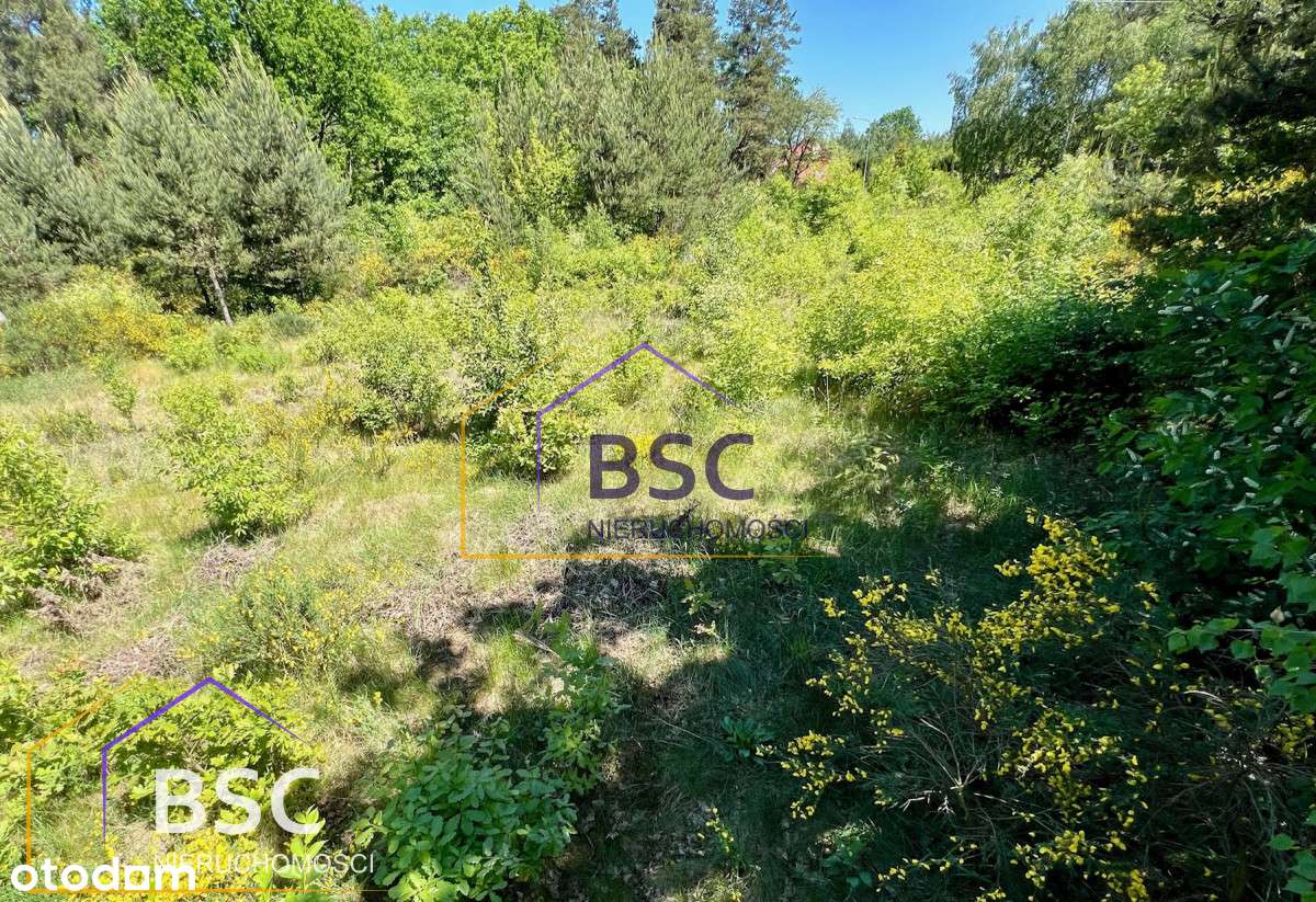 Duża i tania działka w gminie Serock-8
