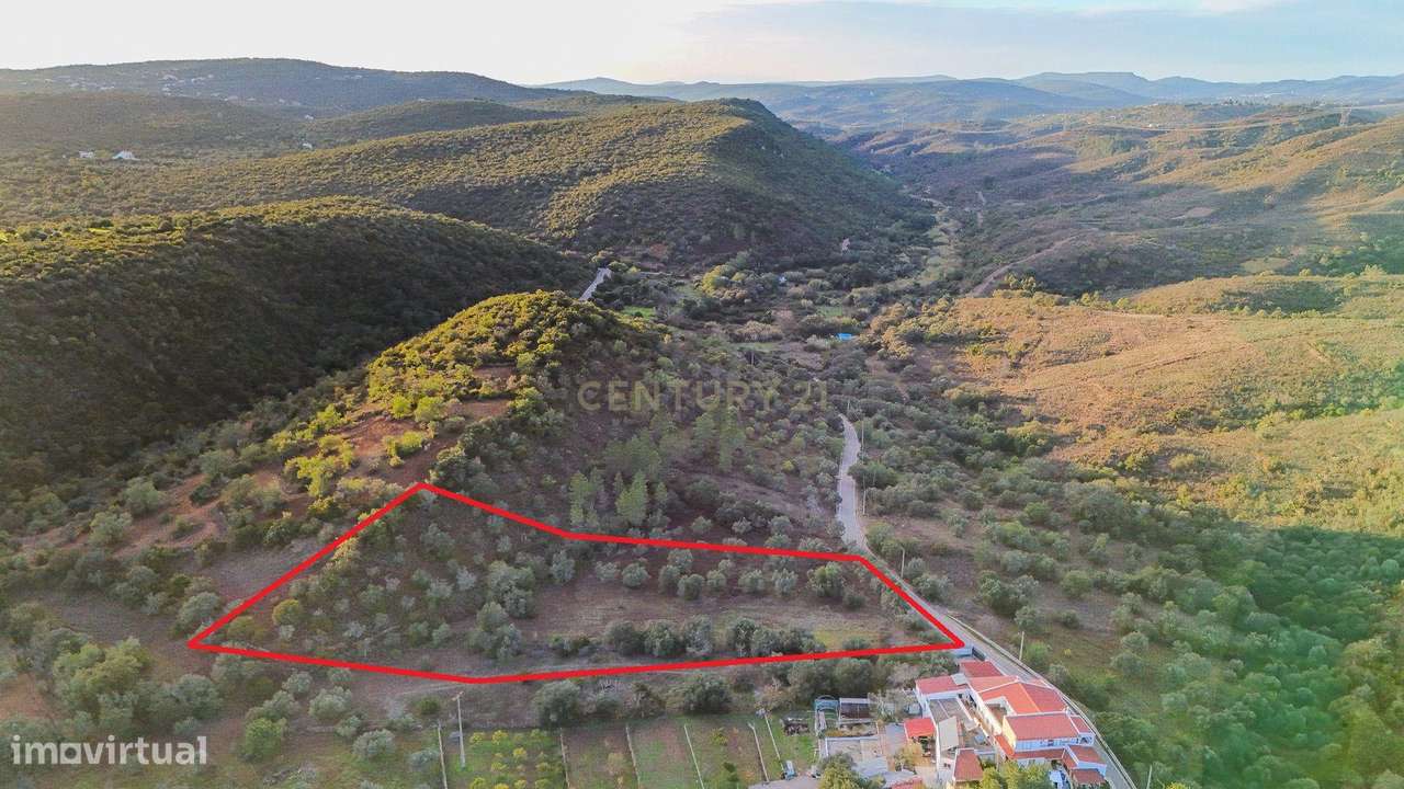 Terreno Rústico com 4.300 m² entre Querença e São Brás de Alportel, Al - Grande imagem: 5/14