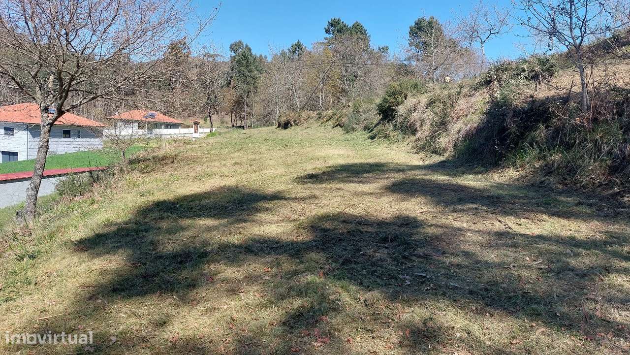 Terreno Terreno com 7.000m2 em Quinchães - Grande imagem: 5/8