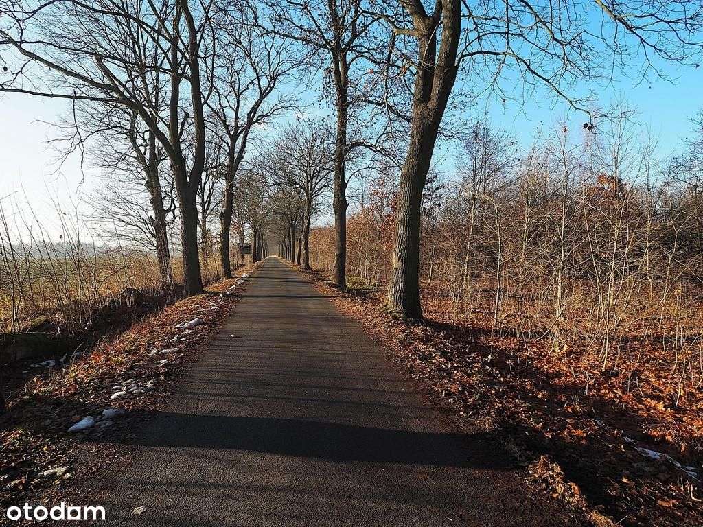 3 działki na sprzedaż – media przy działce! - Pełny obrazek: 5/11