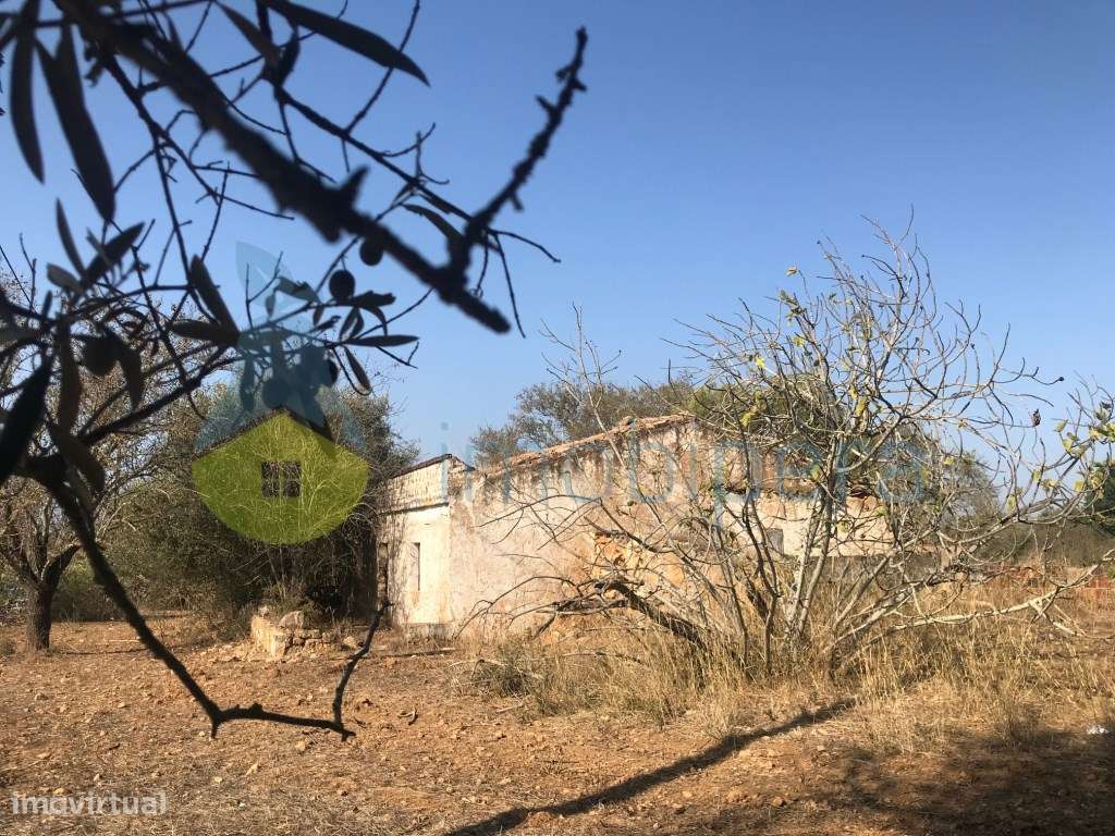 MORADIA/CASA ANTIGA EM RUÍNA COM LOTE DE TERRENO - Grande imagem: 2/28