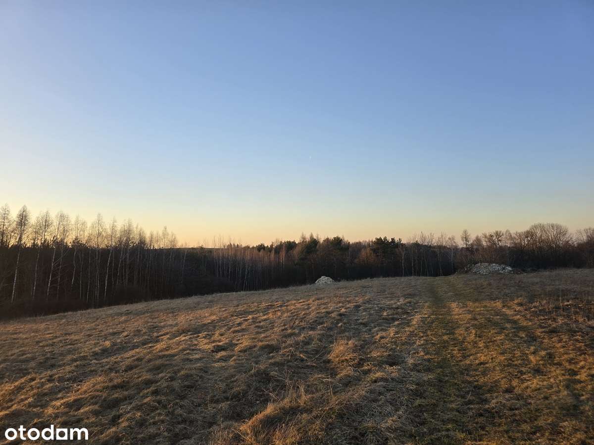 Duża szeroka działka w drugiej linii zabudowy Najdziszów-2