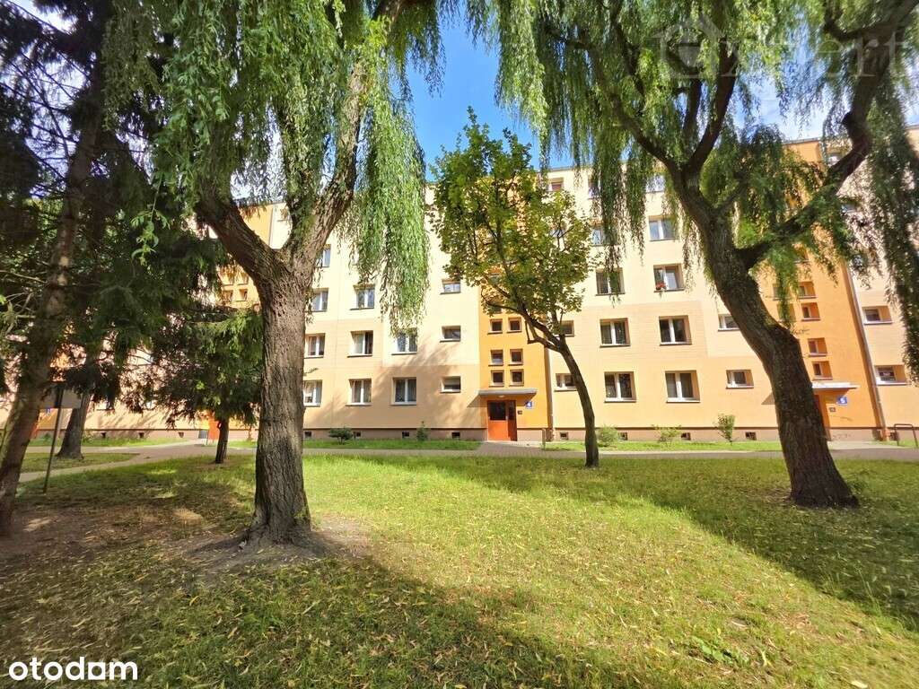 2 pokoje -Spółdzielcze możliwe dla obcokrajowców - Pełny obrazek: 4/14