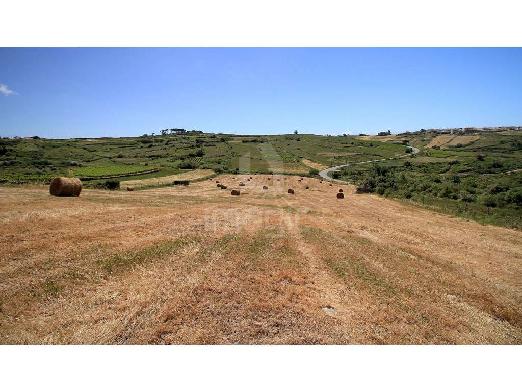 Terreno rústico em São João das Lampas - Grande imagem: 2/4
