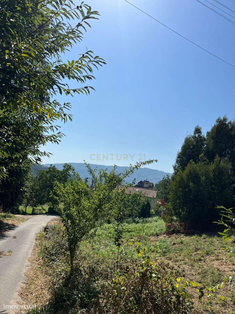 Terreno de Construção em Vitorino de Piães - Grande imagem: 2/8