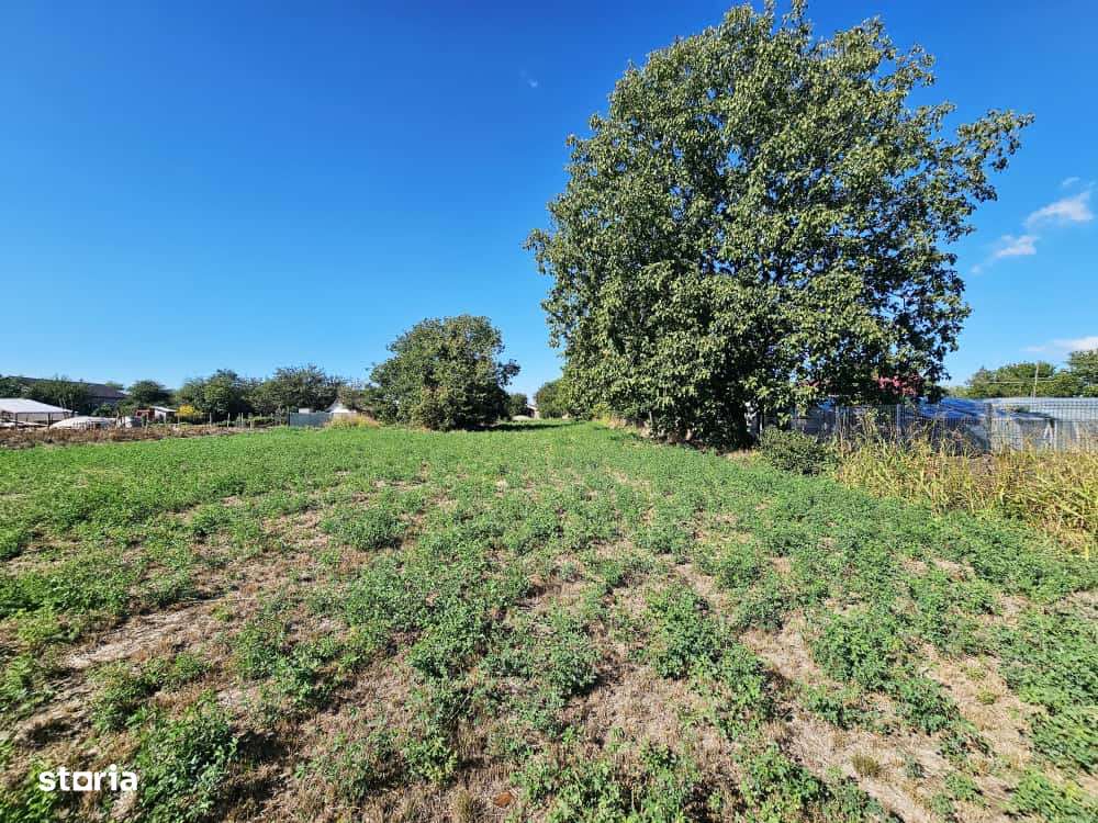 Teren intravilan 1.585 mp, cu utilități la hotar –Gherghița–Ungureni-3