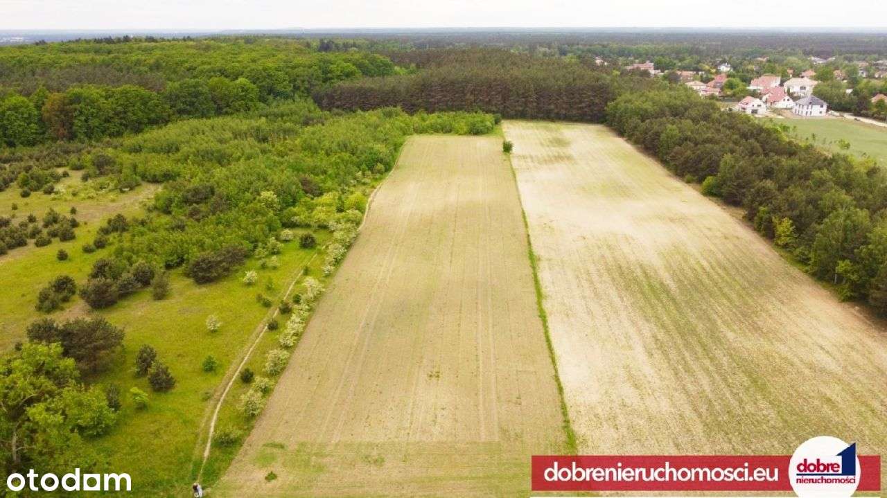 Dla inwestora, 26tys m2 z lasem, Myślęcinek - Pełny obrazek: 3/5