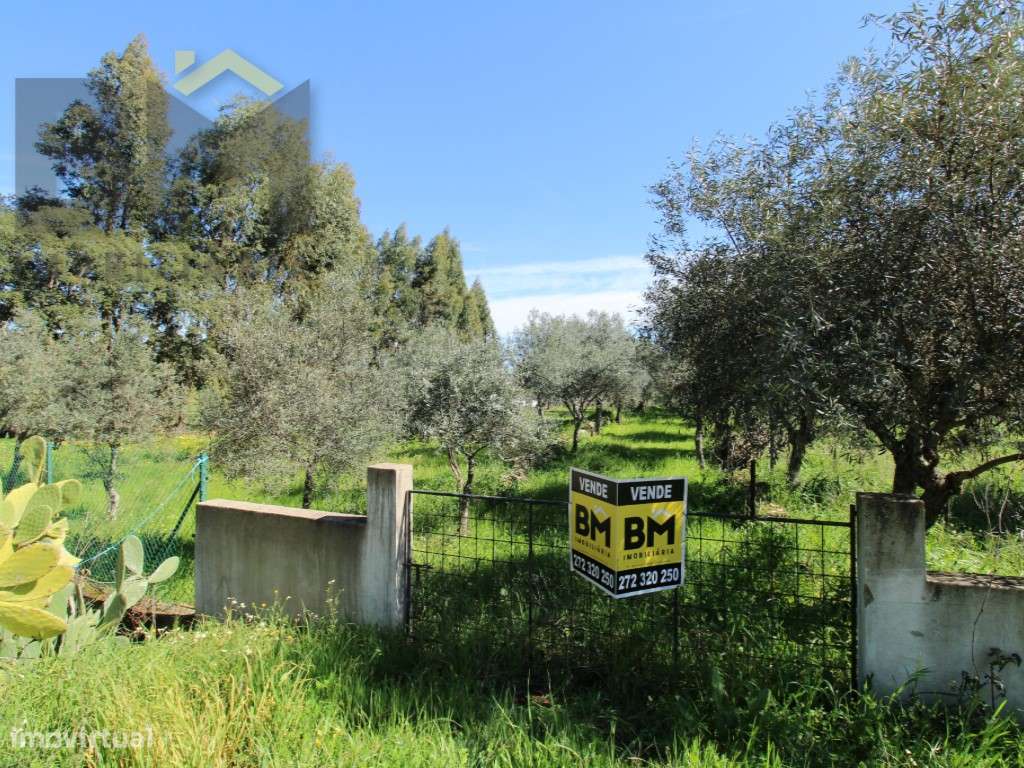 Quintinha de 9.000m2 em Proença-a-Velha. - Grande imagem: 5/32