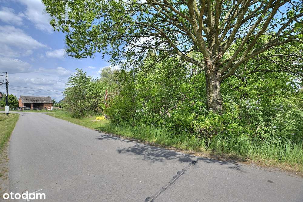 NOWA CENA! - Dwie działki w Lubnowie - Pełny obrazek: 4/6