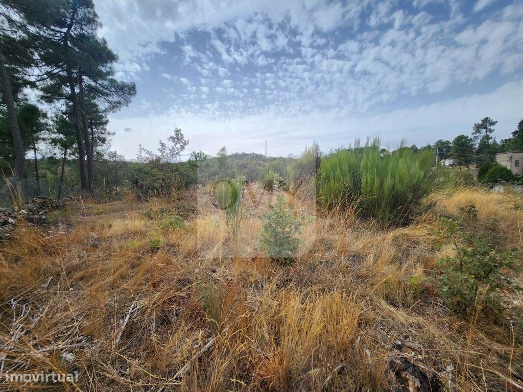 Terreno de 5.600 m2 com Viabilidade de Construção - Grande imagem: 4/8