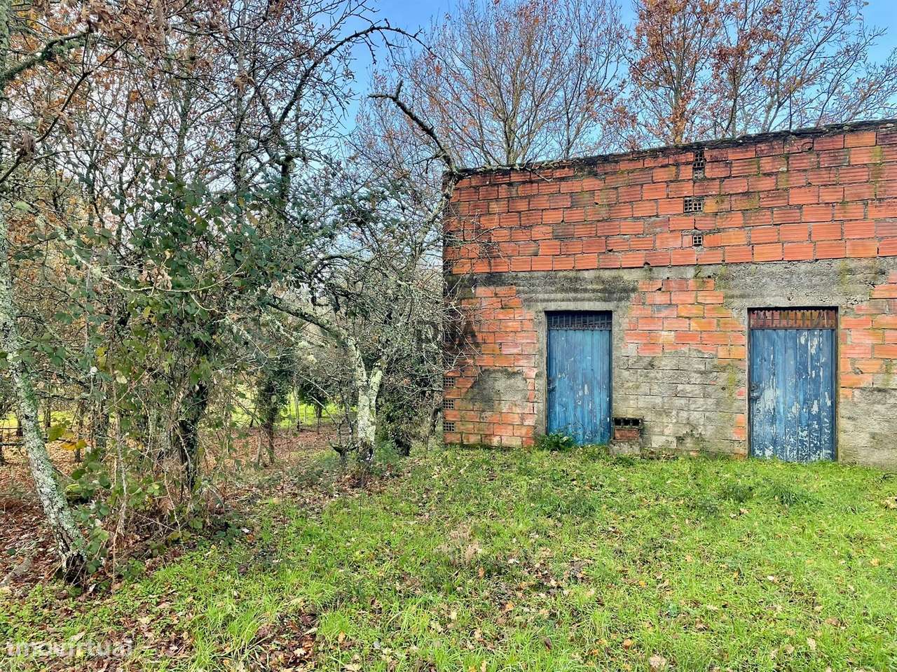Terreno Rústico em Canedo do chão, Mangualde - Grande imagem: 4/15