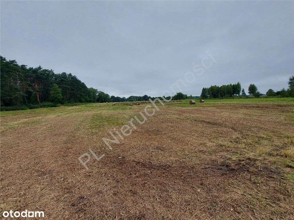 Rzeka, Las I Ona : Piękna Działka Rolna - Pełny obrazek: 4/6