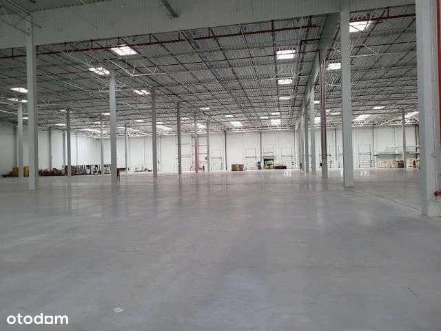 Moduł idealny pod branże modową - Pełny obrazek: 3/5