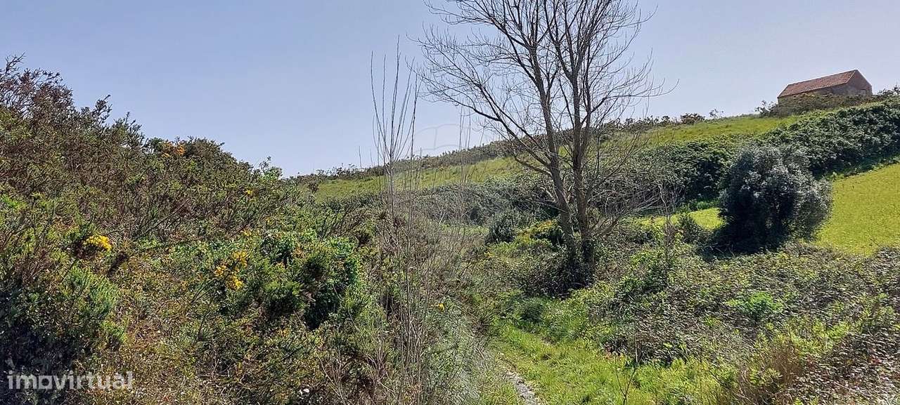Terreno  para venda - Grande imagem: 4/7