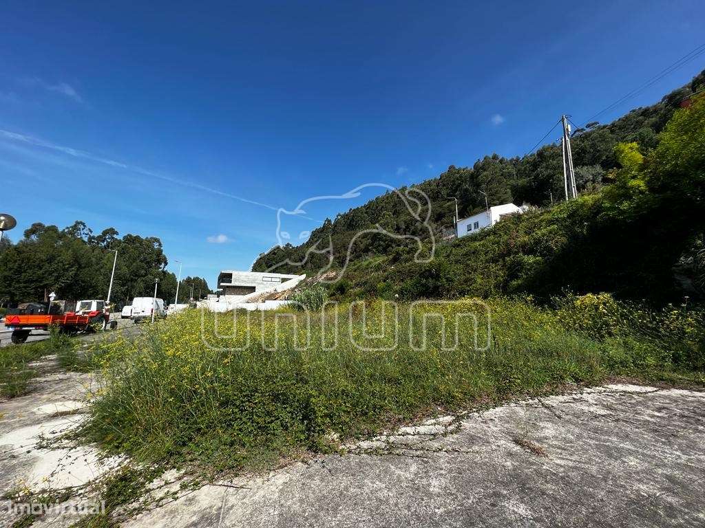 Lote Areosa - Grande imagem: 5/5