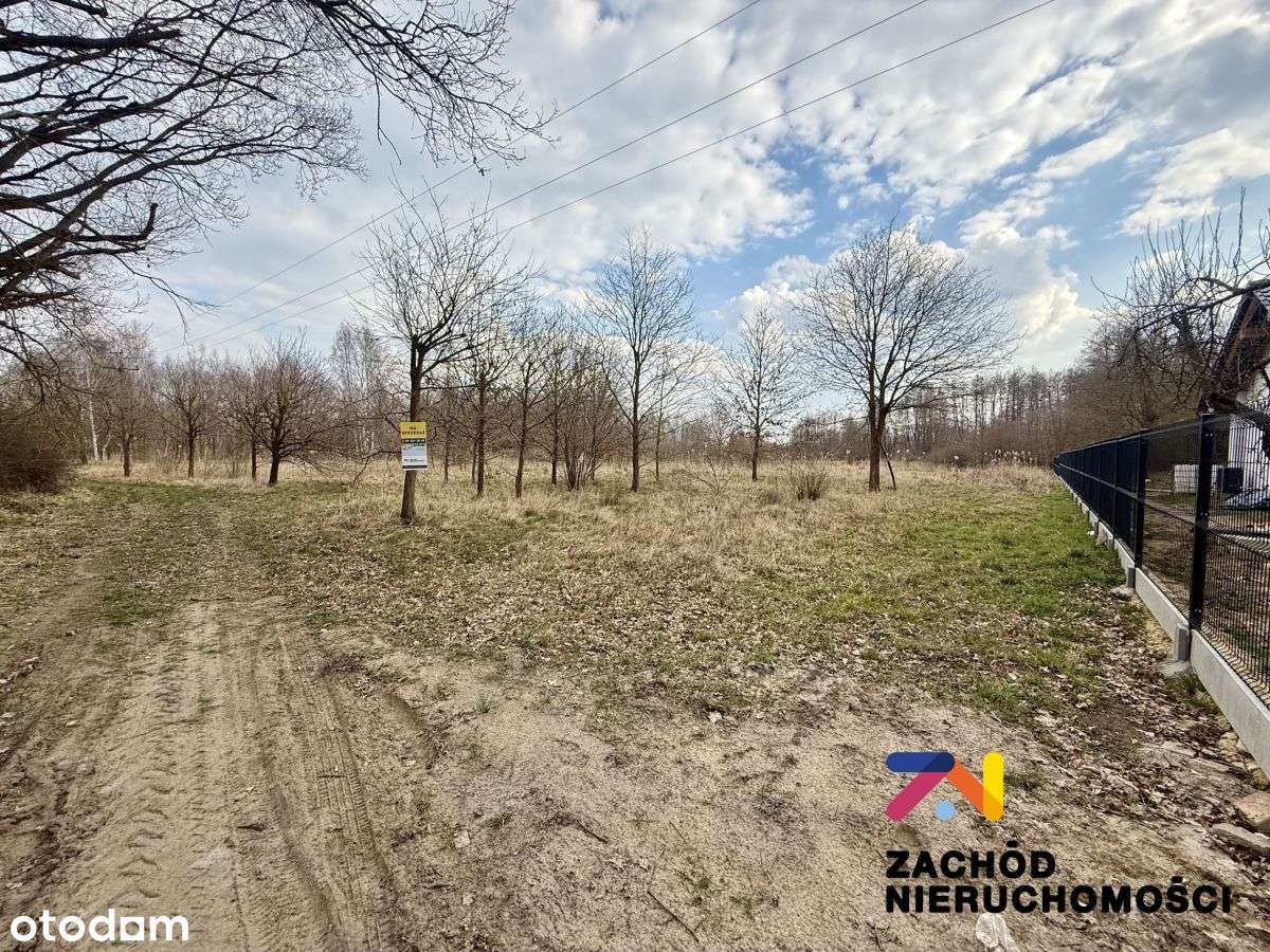 Kompleks Działek Leśna Góra - Pełny obrazek: 4/20