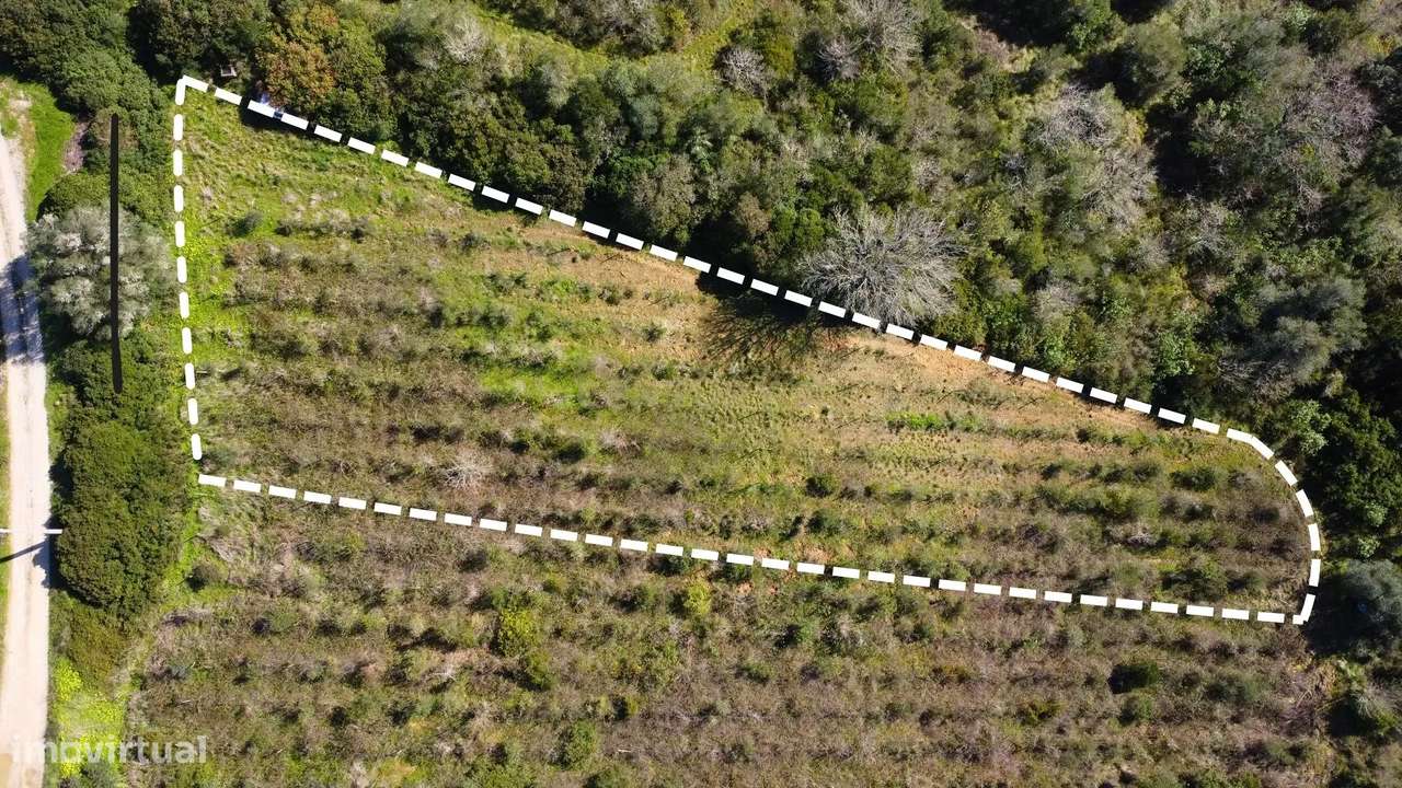Terreno Agrícola com Vinha 4562 m² – Chanca, Sobral da Abelheira-4