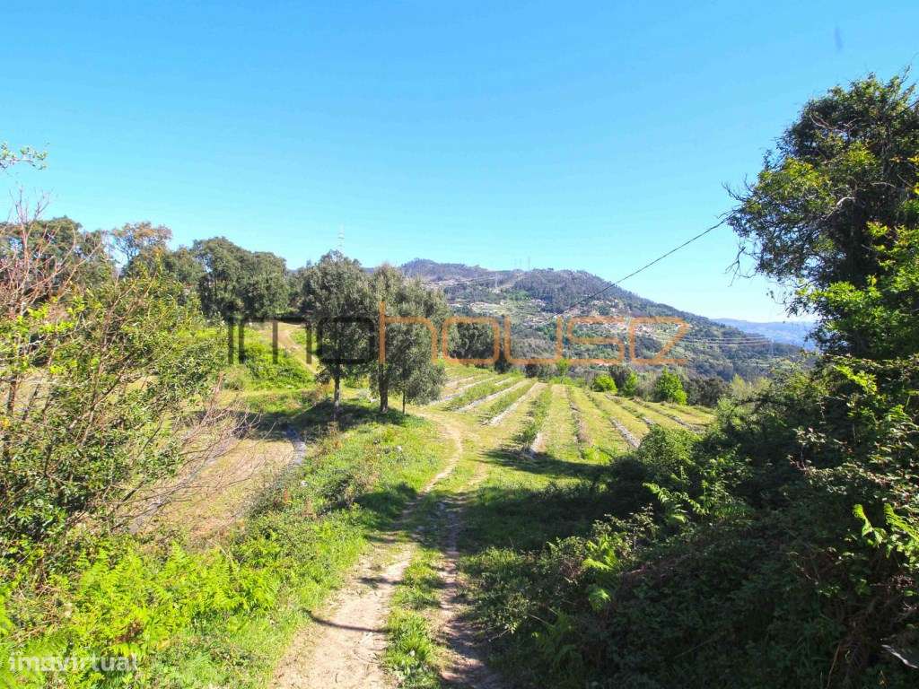 Quinta de 5.6 ha - Varias edificações, ribeiro e vista Douro-30