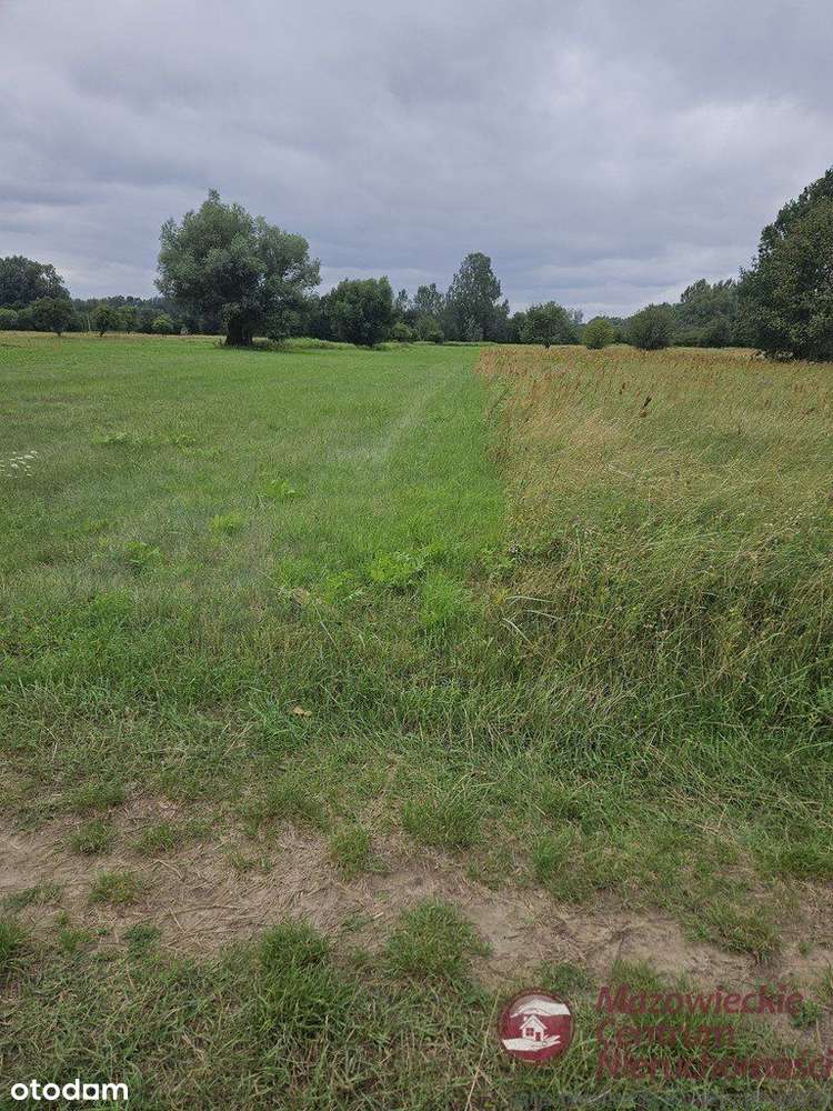 Działka Budowlano-Rolna Wilków Polski - Pełny obrazek: 4/7