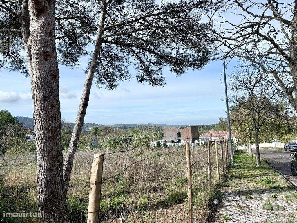 Terreno para construção em Sintra - Grande imagem: 5/11