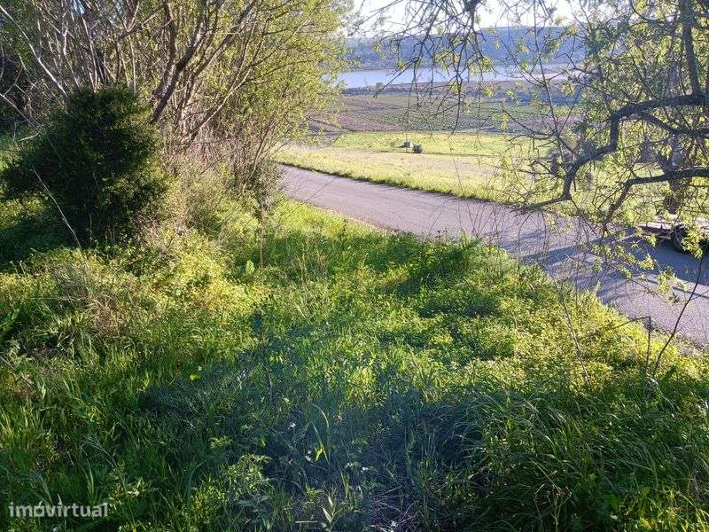 Quintinha , lote de terreno ,  monte , fazenda - Grande imagem: 5/8