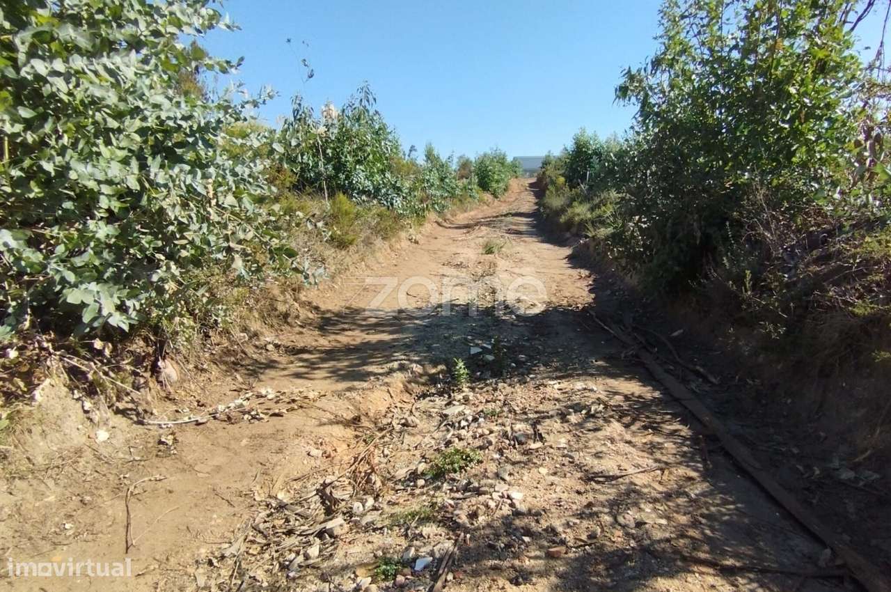 Terreno Industrial Barosa - Grande imagem: 4/20