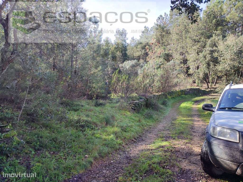 Terreno Rustico - Grande imagem: 5/14